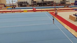 Соревнования на 2-й юношеский разряд. Спортивная гимнастика.