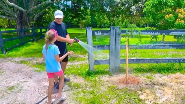 Настя делает добрые дела - помогает папе и Эвелин. смотреть онлайн