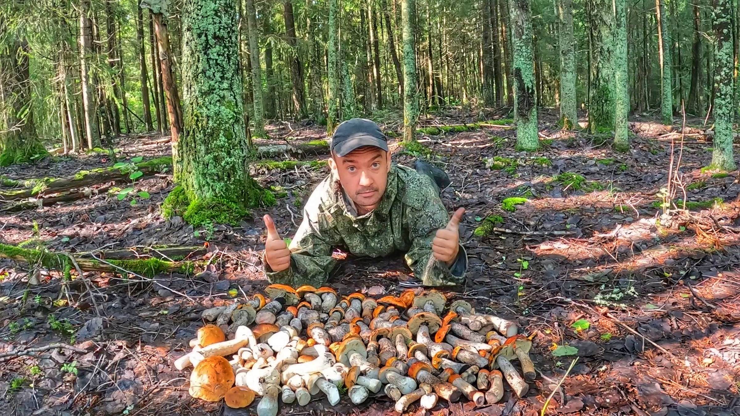 ФАНТАСТИЧЕСКАЯ ТИХАЯ ОХОТА ВОЗЛЕ БОЛОТА! ПОДОСИНОВИКИ ЗАХВАТЫВАЮТ ВСЮ ТЕРРИТОРИЮ ЛЕСА! ЛУЧШИЙ СБОР. смотреть онлайн