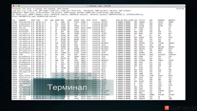 Основы Swift - Unix: 1.1. Терминал или командная строка смотреть онлайн