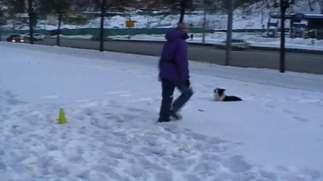 Ася - соревновательный режим, без разминки 12.02.2012 смотреть онлайн
