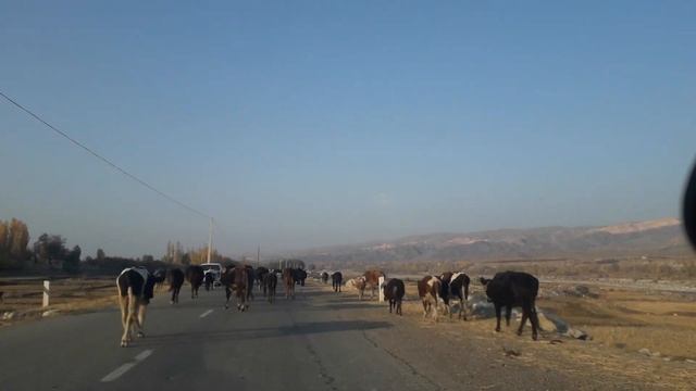 ФАРГОНА ВИЛОЯТИ СУХ ТУМАНИ смотреть онлайн