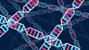 Что такое ДНК