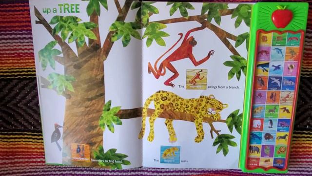 "HEAR BEAR ROAR" by Eric Carle, read by Books with Grandma смотреть онлайн