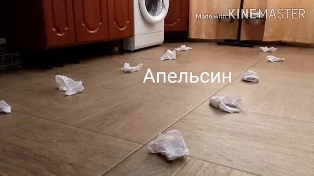 Ноузворк на карантине смотреть онлайн