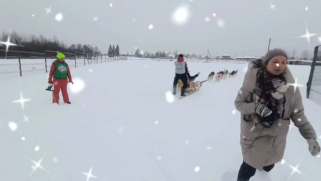 ОТДЫХ \ ЖИЗНЬ ТРЕНЕРА \ ВЫХОДНОЙ \ КАТАНИЕ НА СОБАЧЬИХ УПРЯЖКАХ смотреть онлайн