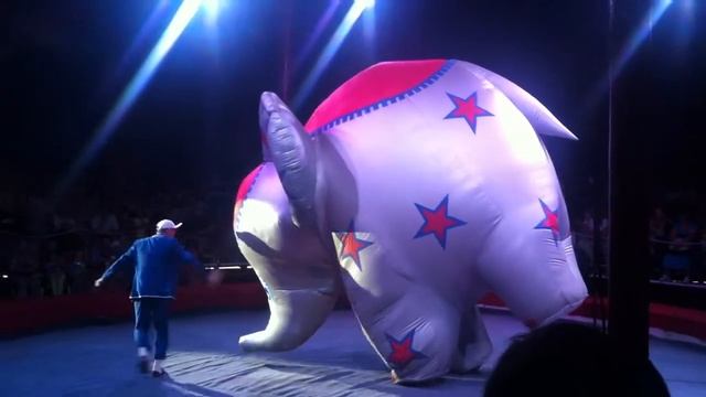 Цирк Звезды Манежа в Сергиевом Посаде смотреть онлайн