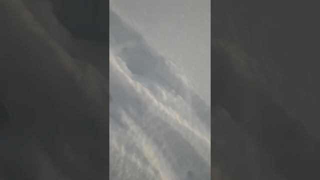 Рыбалка на Лотте, следы лося. смотреть онлайн