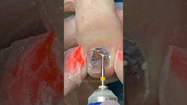 Смотрели полное видео с этим визитом? Или прислать ссылку? смотреть онлайн