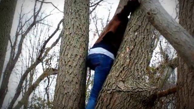 Electrified Fence - A Catching Fire Scene