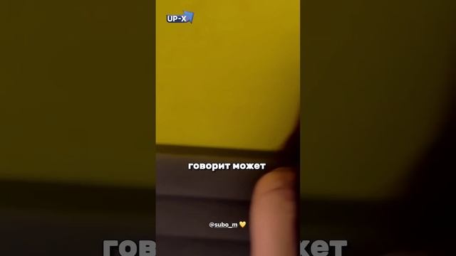 Адель В БУРГЕРНОЙ У СУБО ! Shorts #shorts смотреть онлайн