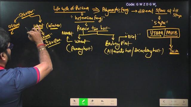 Wheat Rust Cycle | Puccinia Graminis | Uredospores | Plant Pathology | Agriculture RS Rajput смотреть онлайн