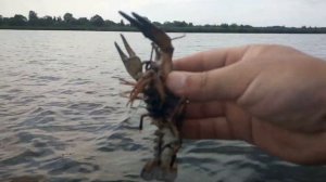 Ловля окуня на силикон "ФАНАТИК". Рыбалка на водохранилище.