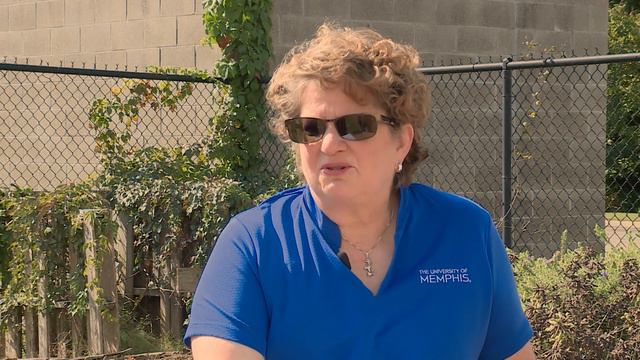 Q&A – What Is This Plant? A: Triangle Cactus