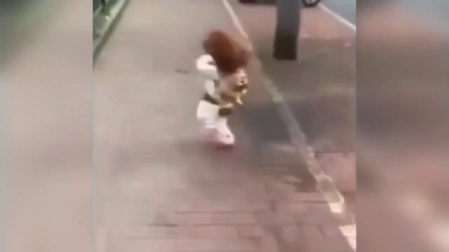 Смешные и прикольные собаки ??? Собаке стригут когти Собака ходит как человек ? смотреть онлайн