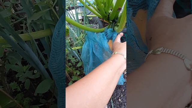 Last na gyud nga update! Affected sa bagyong Paeng. смотреть онлайн