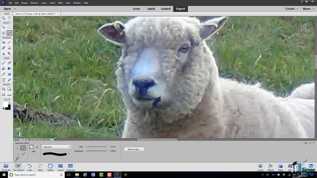 How to Use a Selection Brush in Photoshop Elements 2018 смотреть онлайн