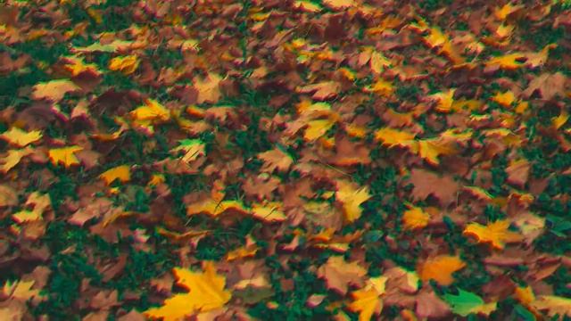 Просто и с рифмой смотреть онлайн