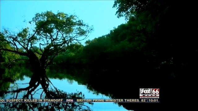 Amazon Adventures смотреть онлайн