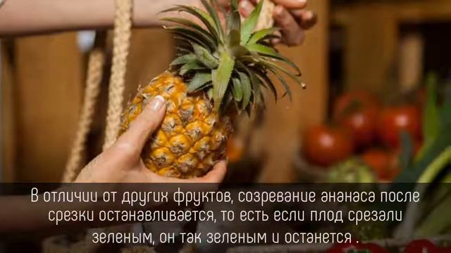 ⭐️ 5 НЕОБЫЧНЫХ фактов об обычных АНАНАСАХ смотреть онлайн