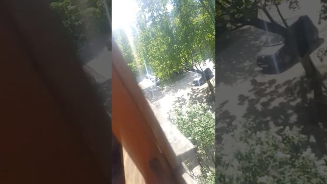 когда поймали менты на капте смотреть онлайн