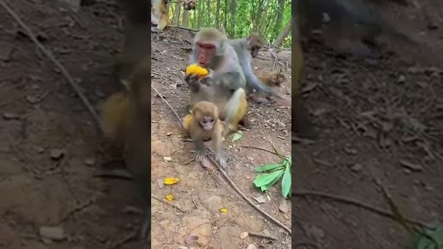 не трогай смотреть онлайн