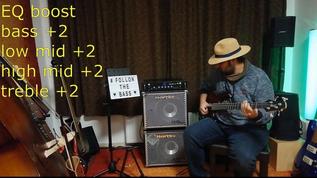 Cort Action PJ/Warwick Pro Fet 3.2/Hartke HX112 смотреть онлайн