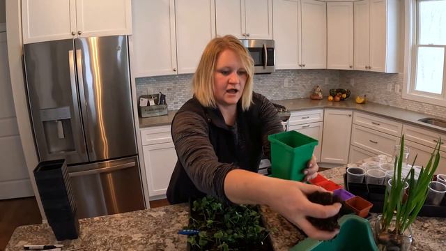 Potting up the Ranunculus смотреть онлайн