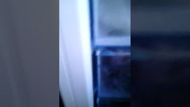 Как сделать мороженое из творожка растишка 2 часть смотреть онлайн