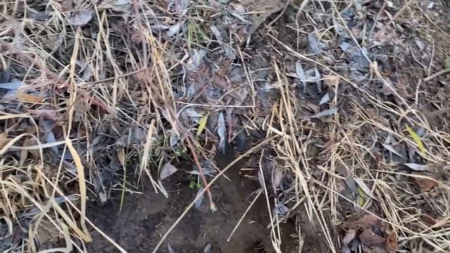 Старинная цепь уходила глубоко в землю То что откопал - озадачило.