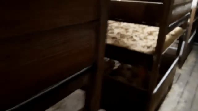 Клетки для бройлеров (брудеры). Брудерная для цыплят. Отопление и вентиляция птичника. смотреть онлайн