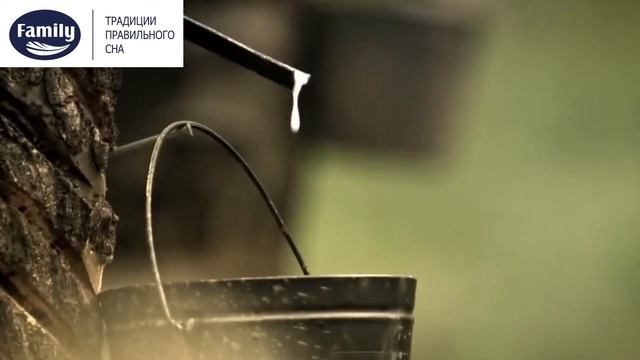 О фабрике матрасов Family смотреть онлайн