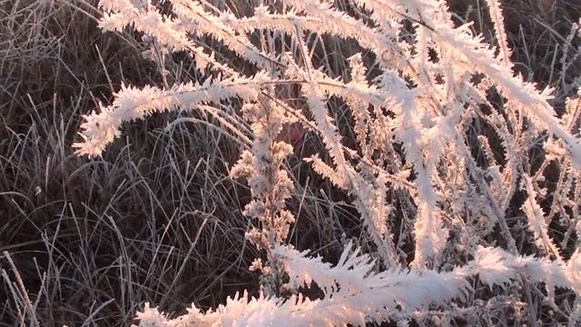 ПОИСК МОНЕТ И КЛАДОВ НА РЯЗАНСКОЙ ЗЕМЛЕ SEARCH COINS ON RYAZANSCHINE CRAZY SAVE смотреть онлайн