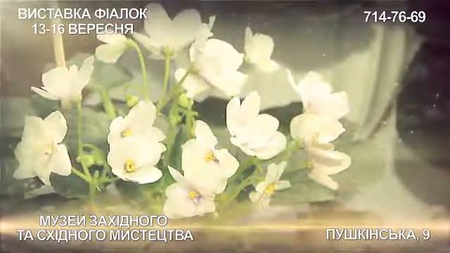 Клуб Велес приглашает смотреть онлайн