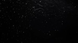 Raylab. Генератор снега (пены) Snow machine. Обзор.