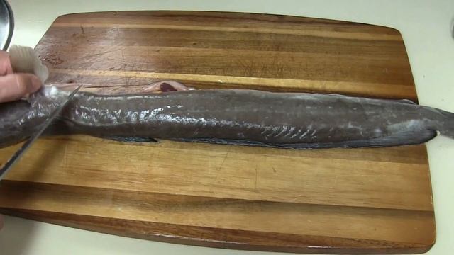 Как разделать рыбу Мольва. Мастер-класс по разделке рыбы. смотреть онлайн