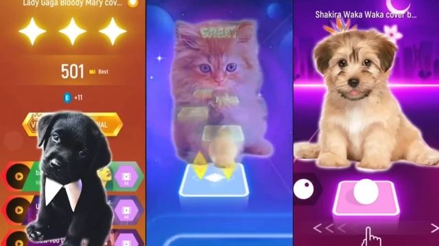 Мяу..гав..мяу..гав...гав... Поют песни кошки и собаки смотреть онлайн