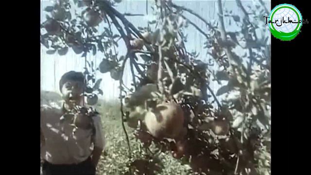 SOUNDTREK MASXARABOZ