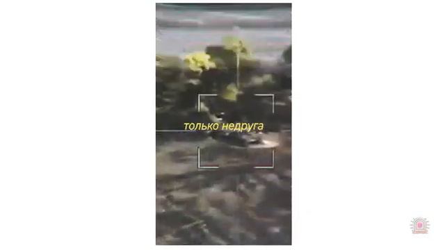 Герань смотреть онлайн