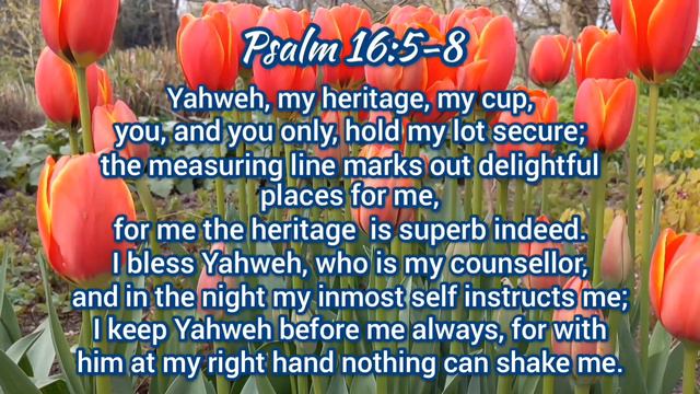 The Holy Bible - Psalm 16:5-8 смотреть онлайн