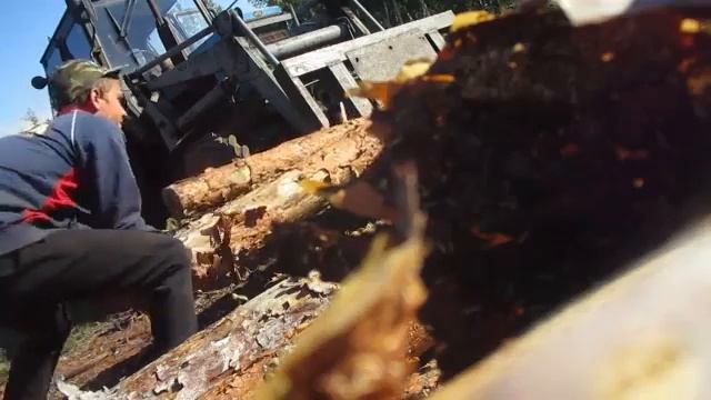 Поездка В Лес На МТЗ 82 1 смотреть онлайн