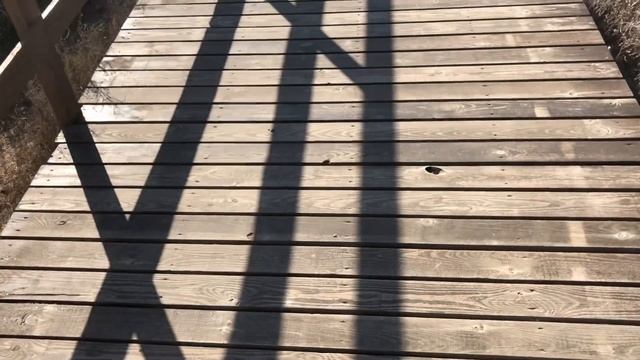 Штормовое Азовское море/Зимняя поездка к озеру Чокрак/поселок Курортное смотреть онлайн