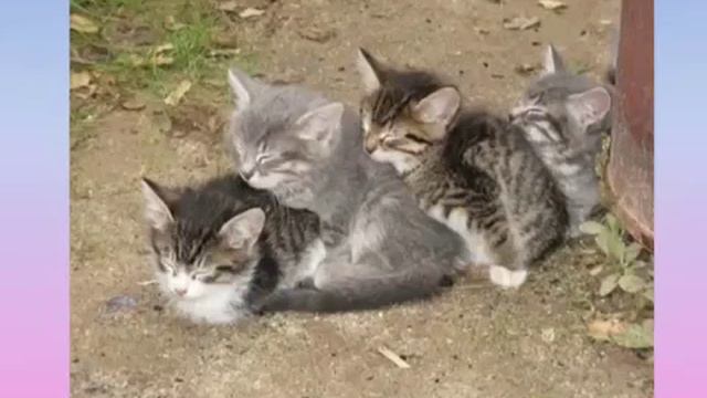 Gute Nacht смотреть онлайн