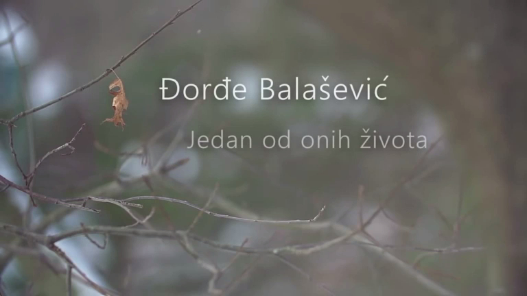Đorđe Balašević - Nismo mi bili ljubavnici... _WMV V9 смотреть онлайн