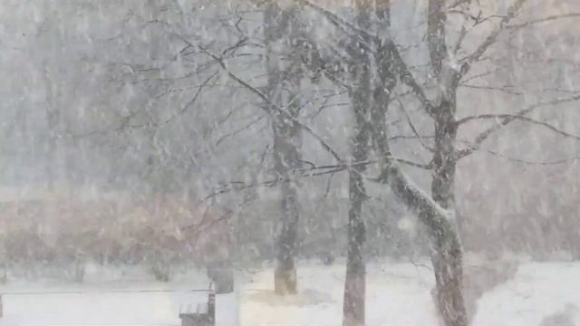 Мощный снегопад с грозовым положением в Санкт-Петербурге 20.11.2020. Начало зимы в СПБ смотреть онлайн