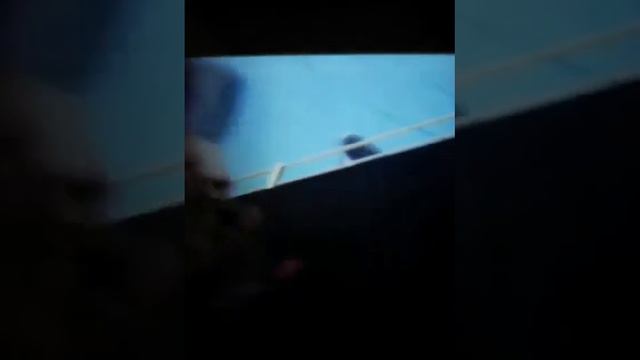 Гадкий я 3 в кино 29 июня смотреть онлайн
