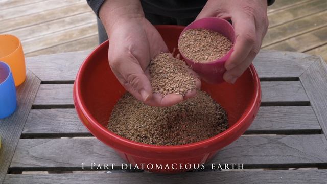 Our Echinocereus Soil Mix (4K) смотреть онлайн