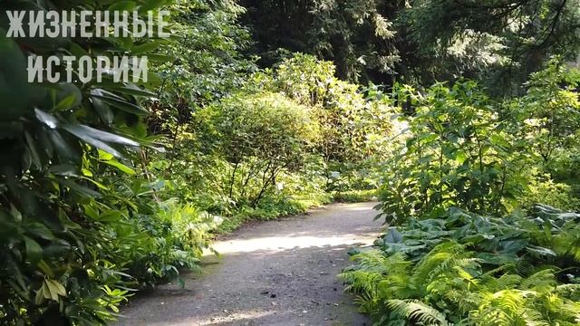 Берущий за душу рассказ «Человек на всю жизнь» с глубоким философским смыслом - Истории из жизни смотреть онлайн