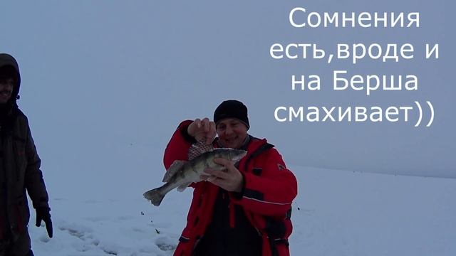 ЗИМНЯЯ РЫБАЛКА НА СУДАКА И БЕРША НА ТЮЛЬКУ.ЛОВЛЯ СУДАКА И БЕРША НА ПОСТАВУШКИ.ЛЕЩ НА САЛО.КАМА. смотреть онлайн