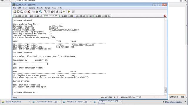 01.27.02_Oracle_10gR2_RACDG_1.27.2 Enabling Archive Logs and Flashback in a RAC смотреть онлайн